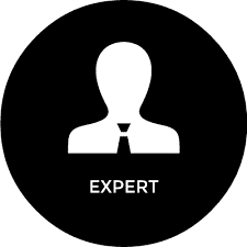 Experto