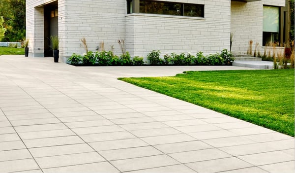 nuevos-productos-2019